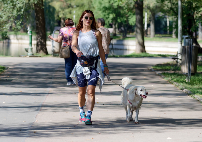 Girl with leashed dog